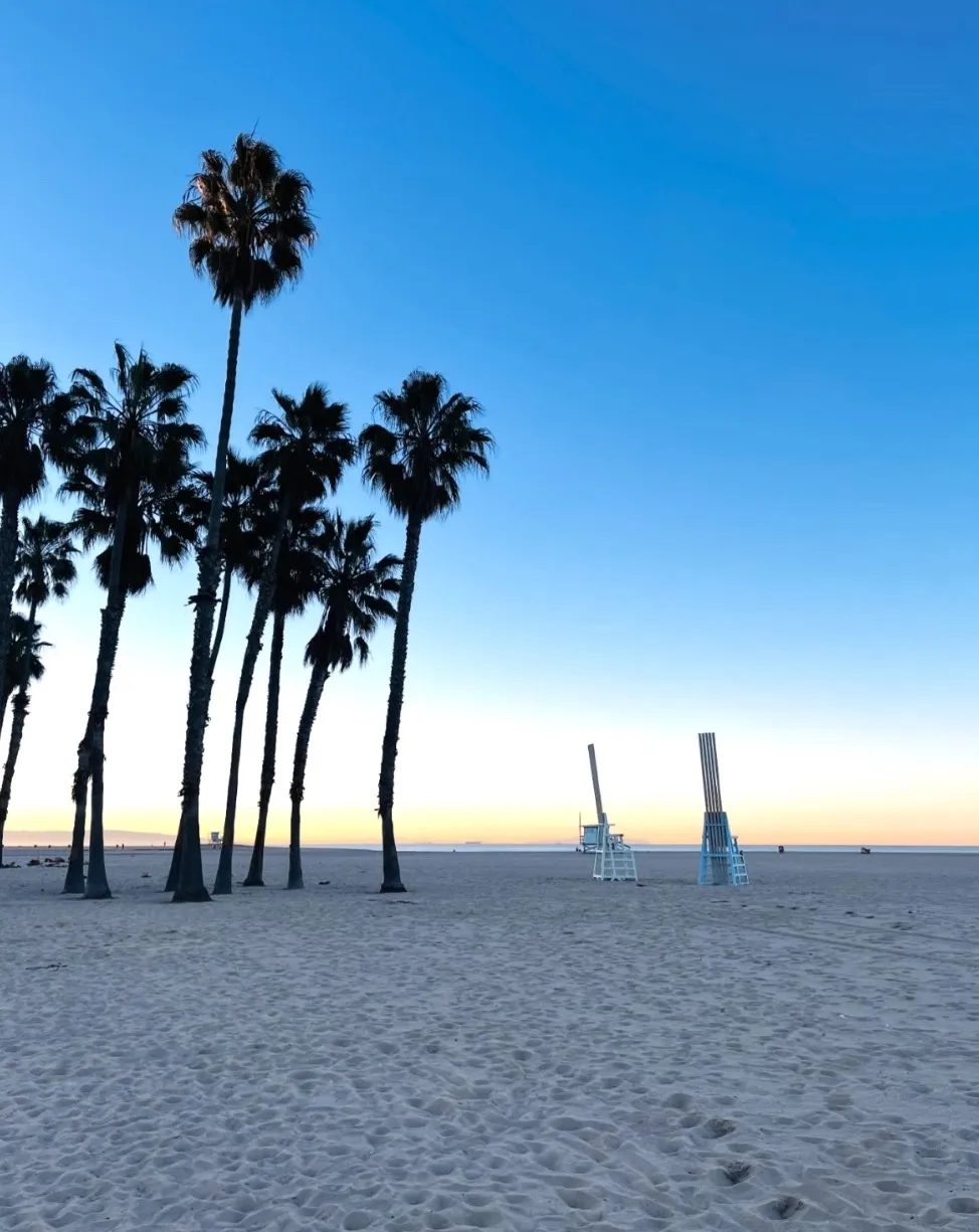 Palm trees and lifeguard towers on an empty beach at dawn